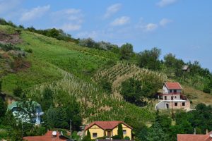 Węgry Tokaj