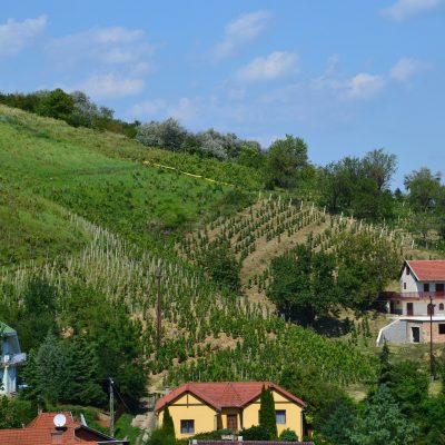 Węgry Tokaj