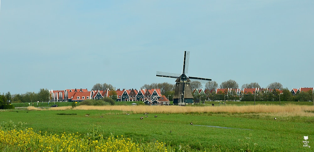 Holandia Amsterdam