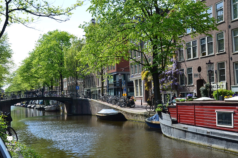 Holandia Amsterdam kanały