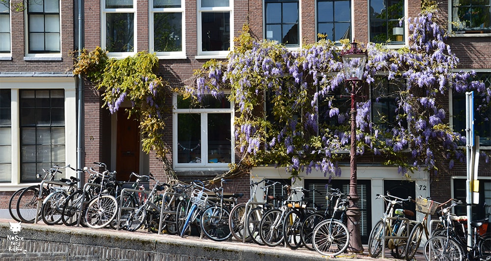 Holandia Amsterdam rowery